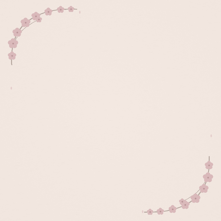 桜和紙