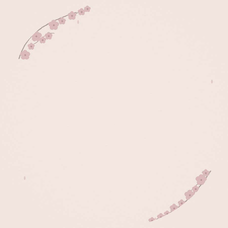 桜和紙